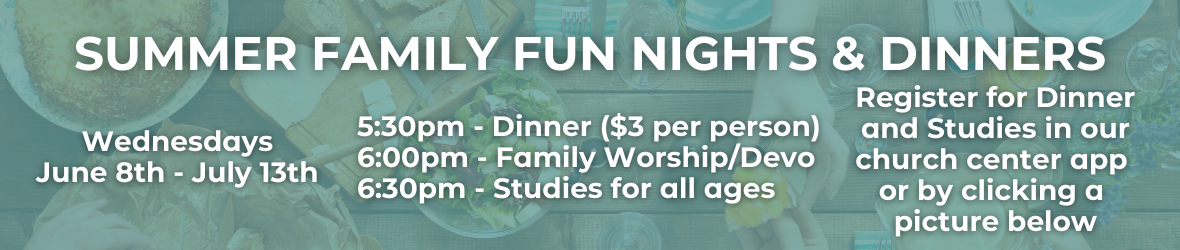 Summer Family Fun WEB banner (1180 × 250 px)