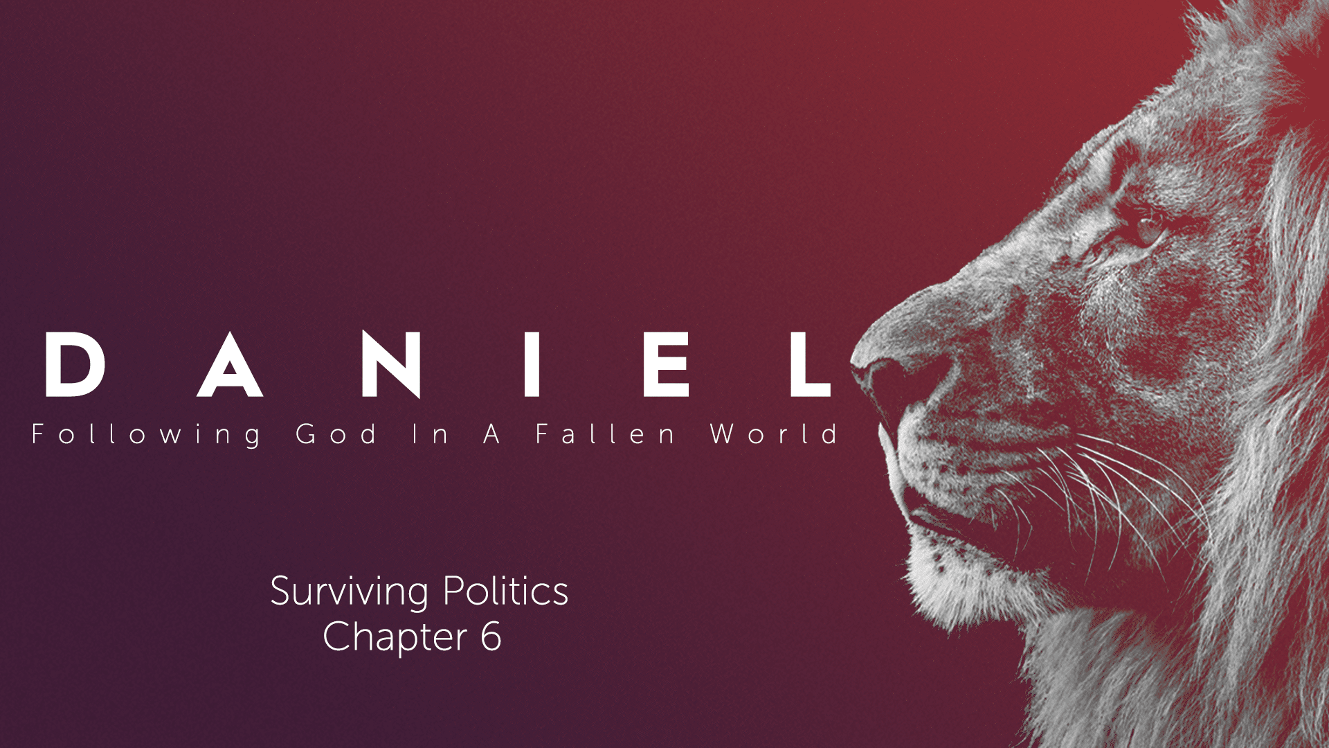 Following God In A Fallen World: Surviving Politics