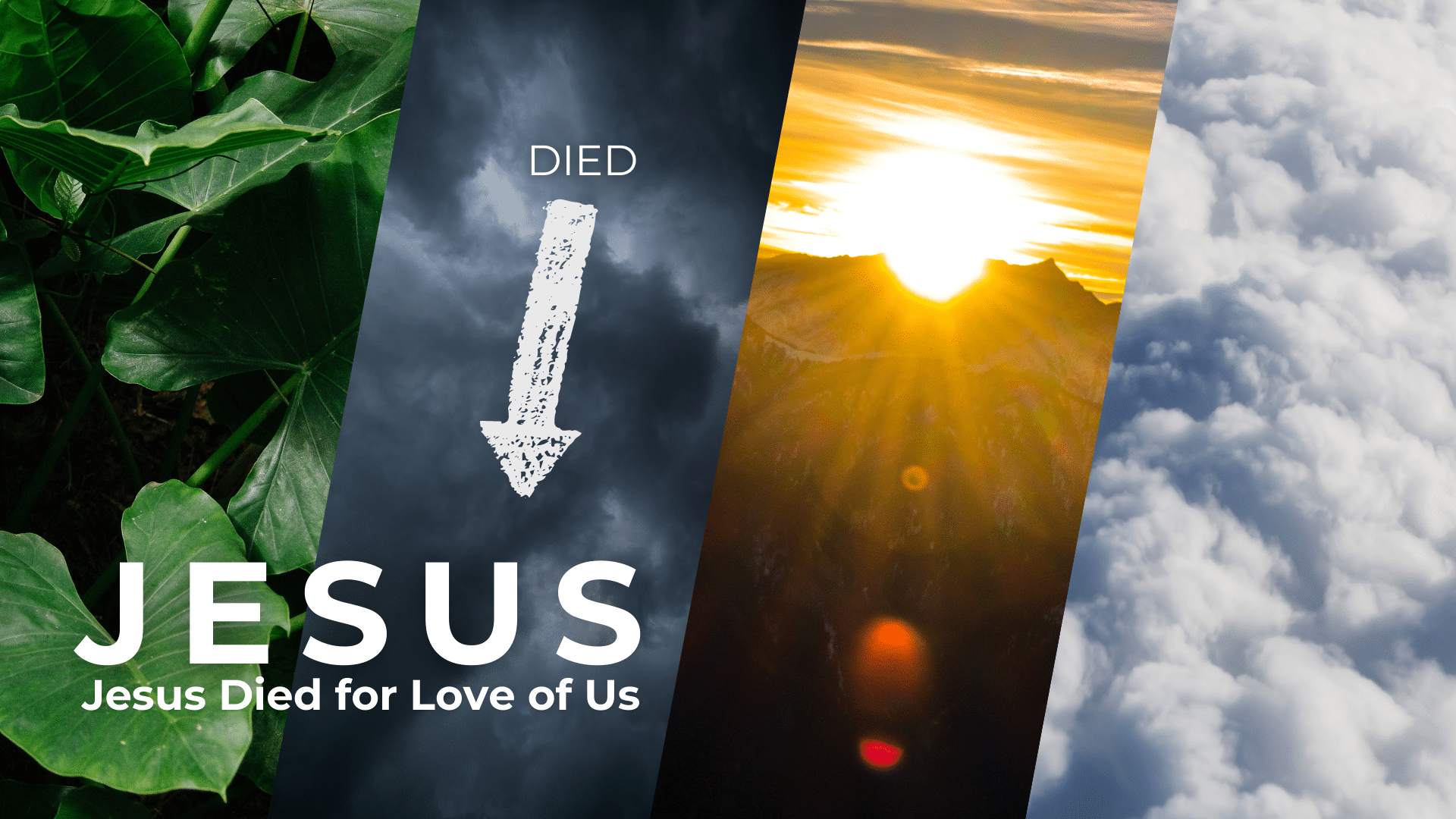Jesus Died For Love Of Us