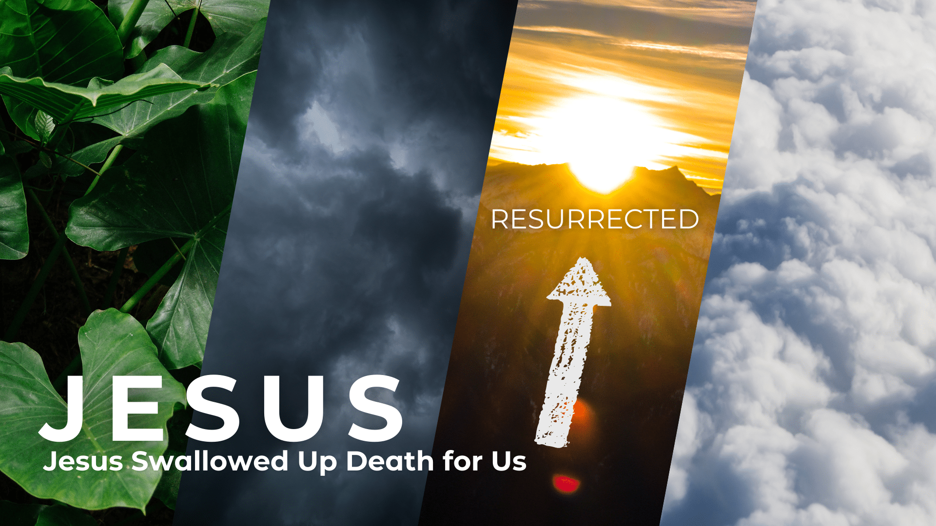 Jesus Swallowed Up Death For Us