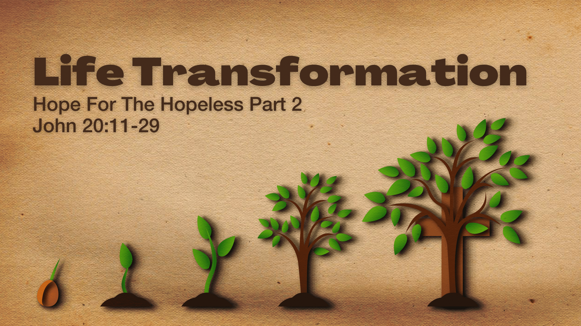 Life Transformation: Hope For The Hopeless, Part 2