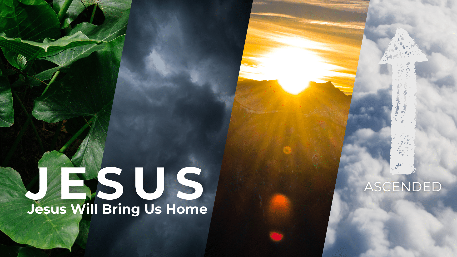 Jesus Will Bring Us Home