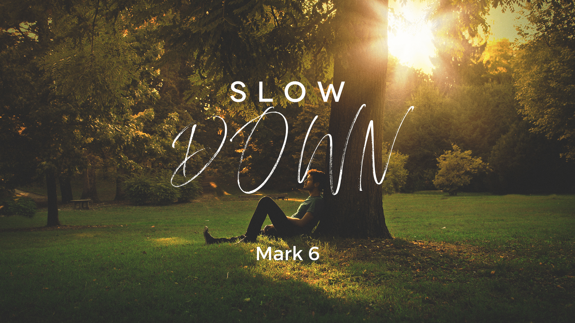 Slow Down!